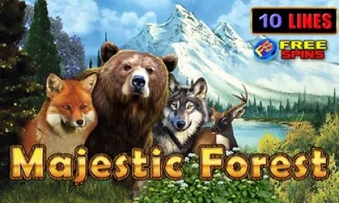 Majestic Forest